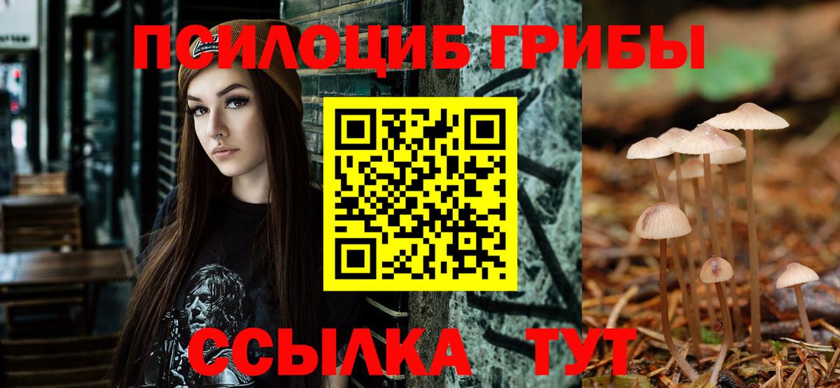 Галлюциногенные грибы Cubensis  Вход с VPN  Киреевск 