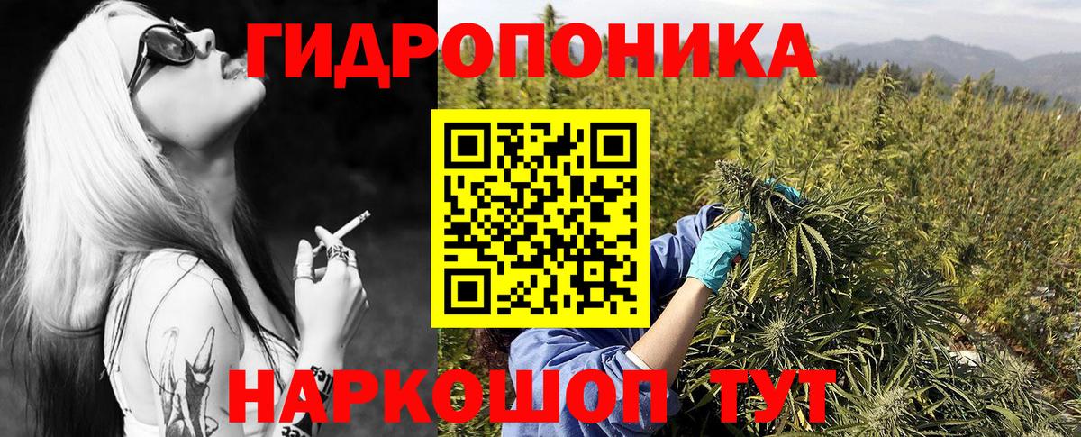 Киреевск  Шишки марихуана SATIVA & INDICA  Вход с VPN  Бошки марихуана THC 21%  Шишки марихуана SATIVA & INDICA  Бошки марихуана SATIVA & INDICA 